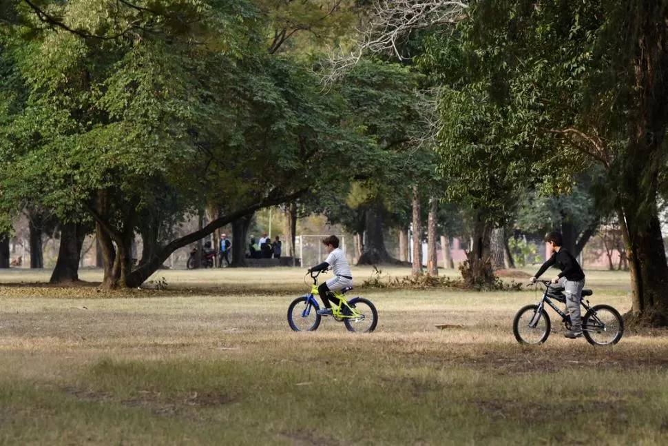 DOS DÍAS DE FESTEJO. El domingo y ayer se vieron numerosos grupos de amigos y de amigas celebrando su día en los bares del Parque 9 de Julio. la gaceta /fotos de Analía Jaramillo - antonio ferroni - diego araoz