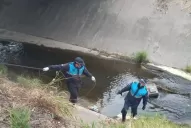 Caso del sacerdote: buscan el arma homicida