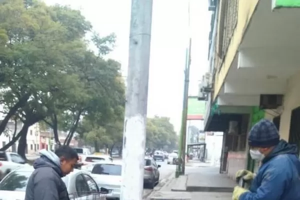 Reforestación: Barrio Sur recupera parte del arbolado perdido