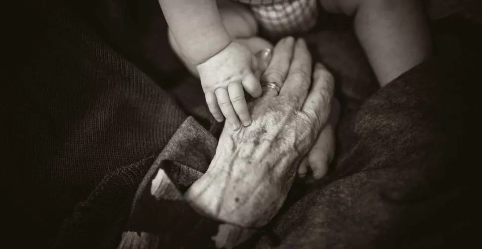 SE ABRE UNA POSIBILIDAD. Los científicos lograron crear genéticamente una nueva ruta de envejecimiento. 