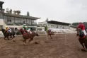 Y un día... volvió el turf al hipódromo de Tucumán