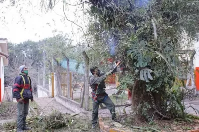 Ya hay claves para imaginar el regreso a las aulas en Tucumán