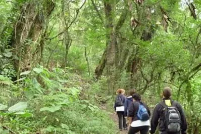 Mañana se reabren los senderos del parque Sierra de San Javier