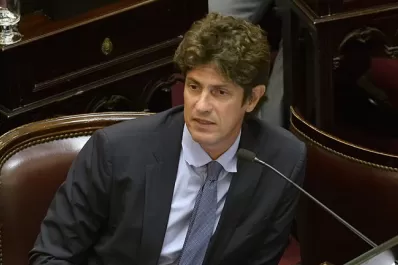 Aborto: Lousteau citó a la tucumana Teresita Villavicencio cuando argumentó su voto a favor