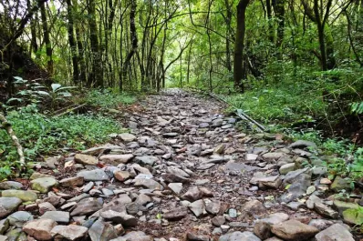 Mañana será un día espléndido para reestrenar los senderos del Parque Sierras de San Javier