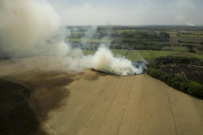 La sequía del otoño y las actuales heladas, un peligroso cóctel para la propensión de incendios