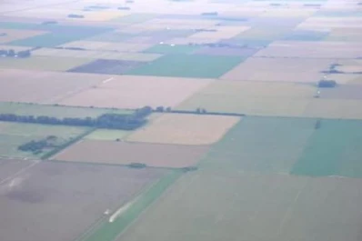Una “obra de arte” forestal semeja la forma de una guitarra