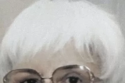 Naranjas agrias que se vuelven un manjar dorado