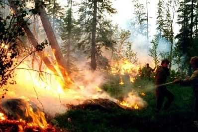 Clima: incendios y deshielo por ola de calor en Siberia