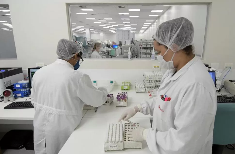 BELO HORIZONTE. Empleados del laboratorio Hermes Pardini trabajan en pruebas relacionadas con la covid-19. Reuters