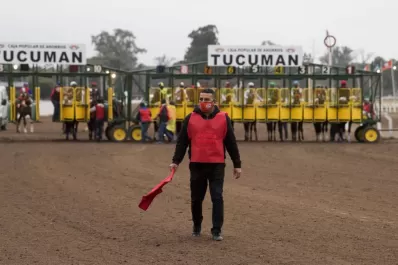 El turf marca el camino y les abre el juego a los otros deportes