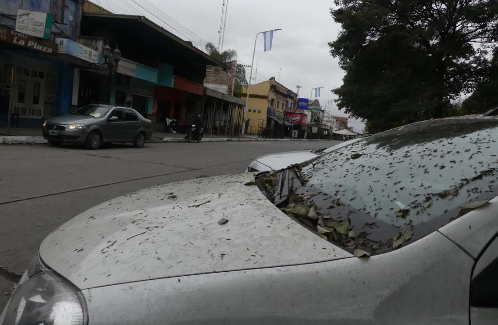 LAS PARTÍCULAS NEGRAS. Aspecto de un auto “bañado” por las cenizas.