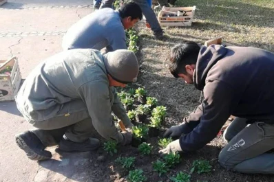 Parque 9 de Julio: la Municipalidad colocó 250 plantines en la zona del Reloj Floral