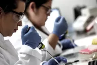 Se acelera la competencia por el desarrollo de una vacuna contra la covid-19 entre Brasil y Rusia