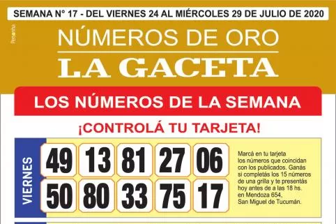 Esta es la grilla completa de los Números de Oro: el pozo acumula $800.000