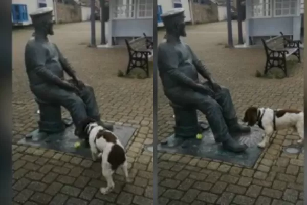 Video: un perro confundió a una estatua con una persona y le insistió para jugar