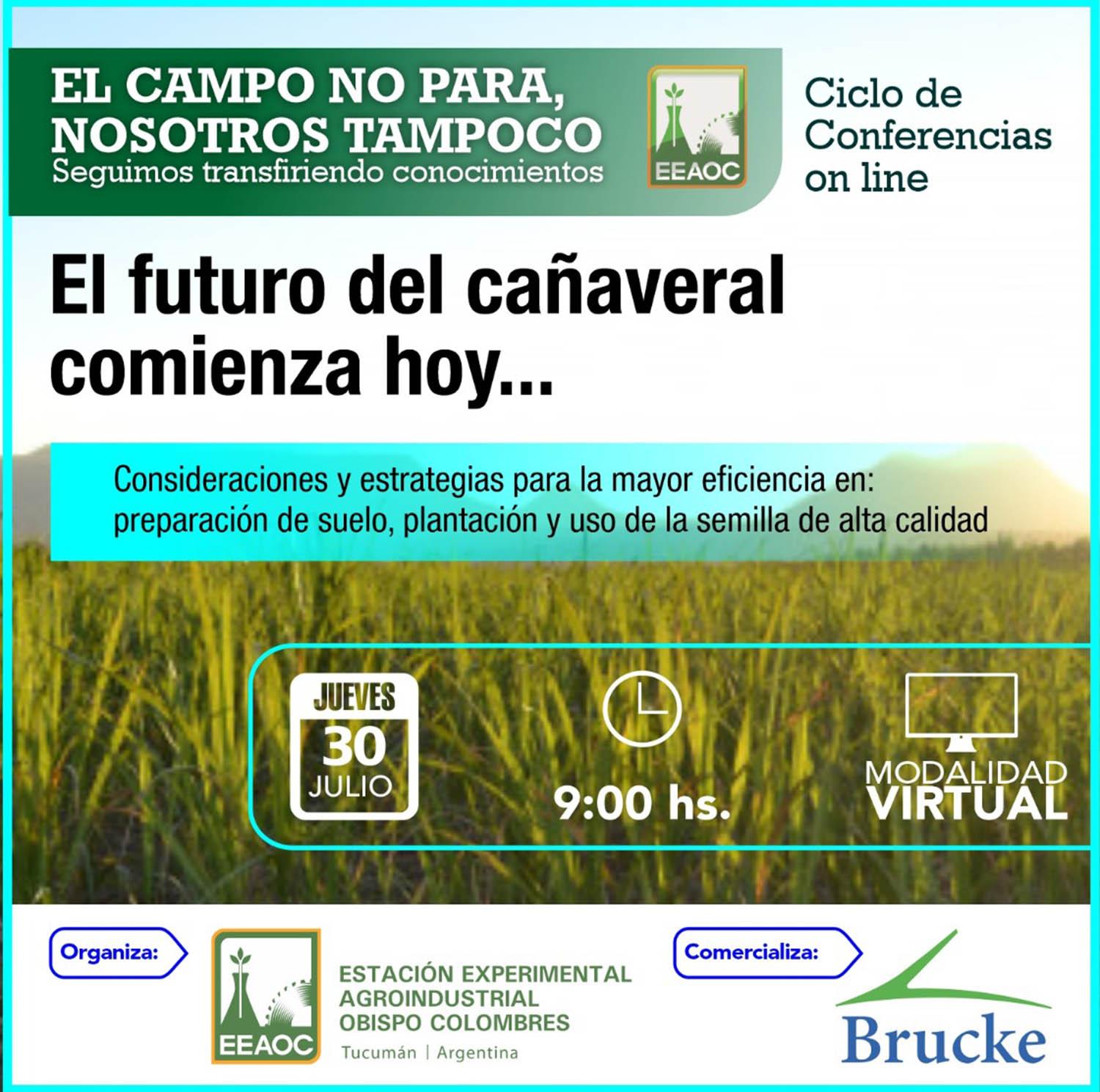 El futuro del cañaveral hoy: conferencia on line de la Estación Experimental