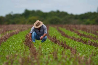 Profesiones “madres” de la producción primaria