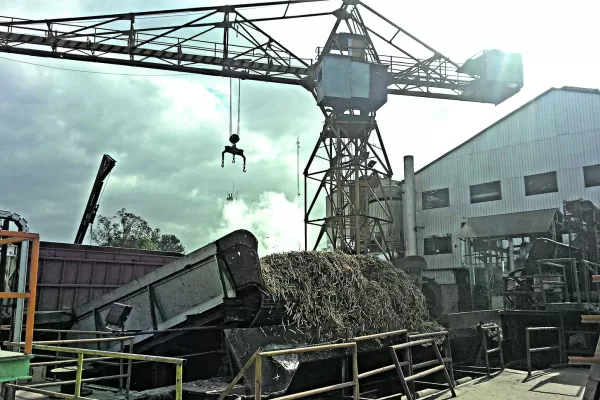 Entrevista: “Pedimos al ministro Kulfas que actualice el precio del bioetanol”