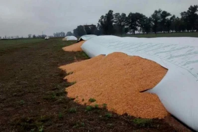 Ofrecen un seguro para múltiples daños en silobolsas