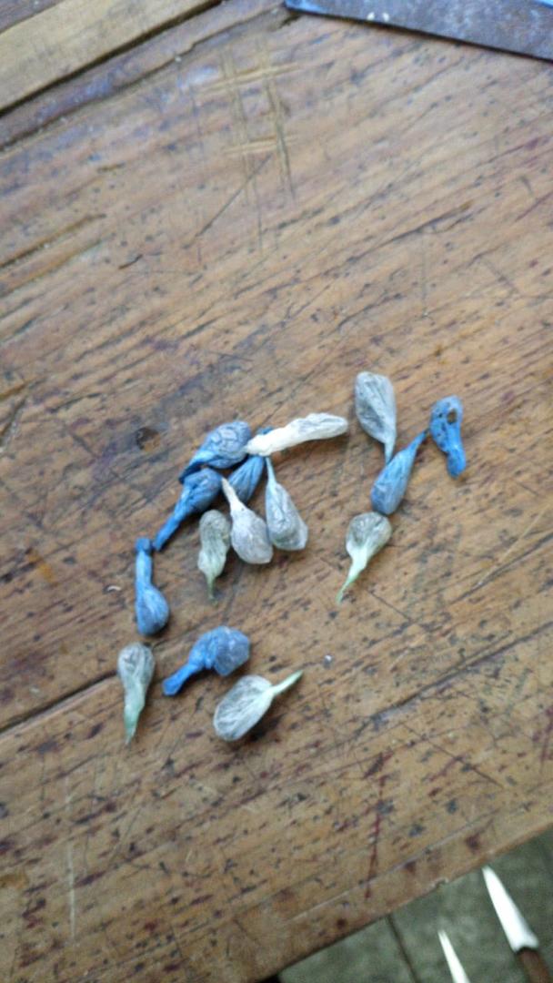 ESTUPEFACIENTES. Entre los 15 envoltorios secuestrados había drogas.  