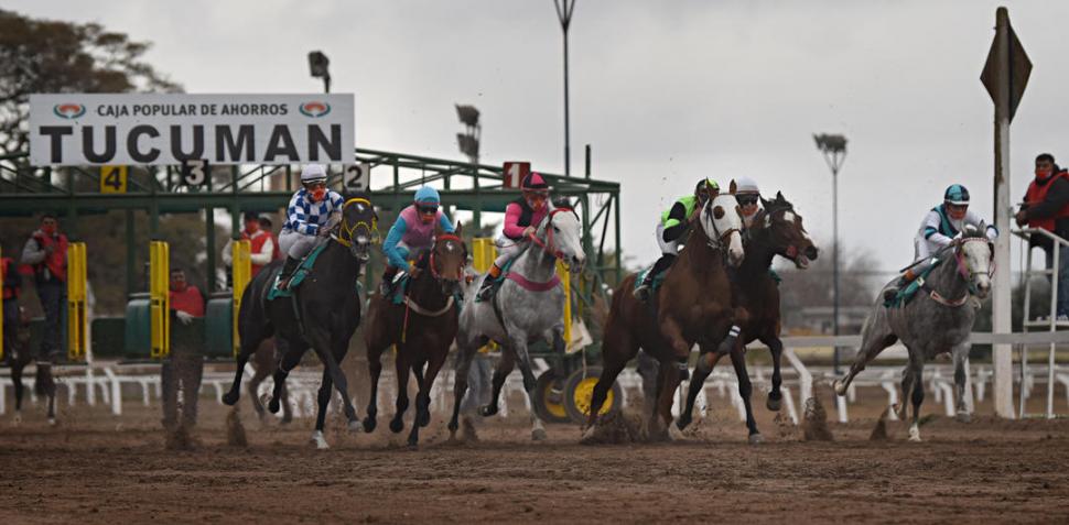 ACCIÓN. El jinete José Vizcarra (14), ganador de la última estadística de jinetes, montará a Beck’s en el clásico “78° Aniversario del Hipódromo de Tucumán”. la gaceta / fotos de DIEGO ARAOZ 