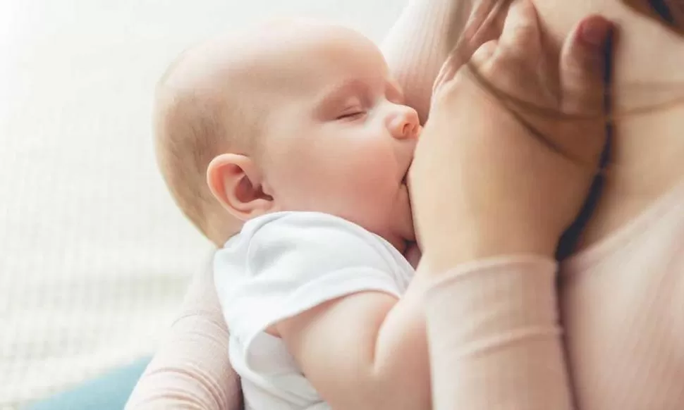 LA LECHE MATERNA. Aporta nutrientes para la vida extrauterina. 