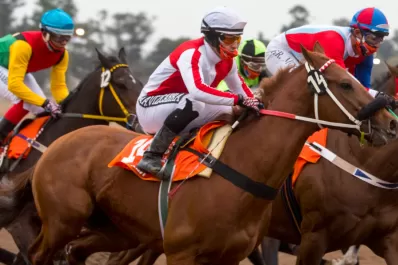 En el marco de las nuevas medidas sanitarias, el Hipódromo suspende sus actividades