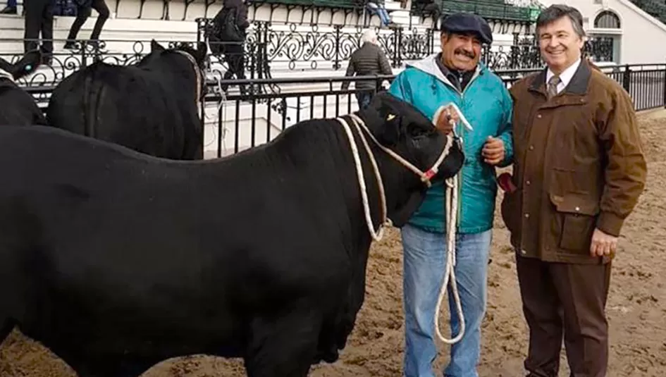 DECISIÓN. La tradicional exposición del campo que se realiza anualmente en Palermo fue postergada para el año que viene, debido a la situación de emergencia sanitaria por la covid-19.