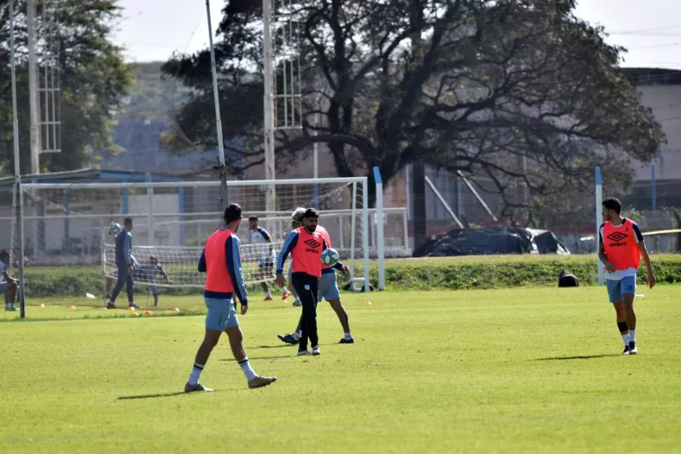 PROTOCOLO. Mucho verde y pocos jugadores, así deberán ser los futuros ensayos. 