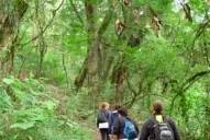 Con recaudos, seguirán abiertos los senderos del Parque Sierra de San Javier