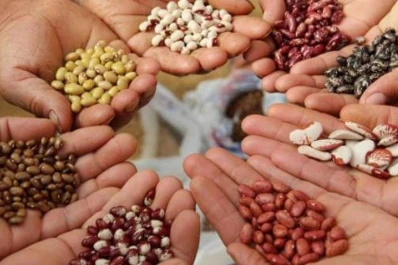 La jornada de Clera no dejó tema de legumbres por tratar