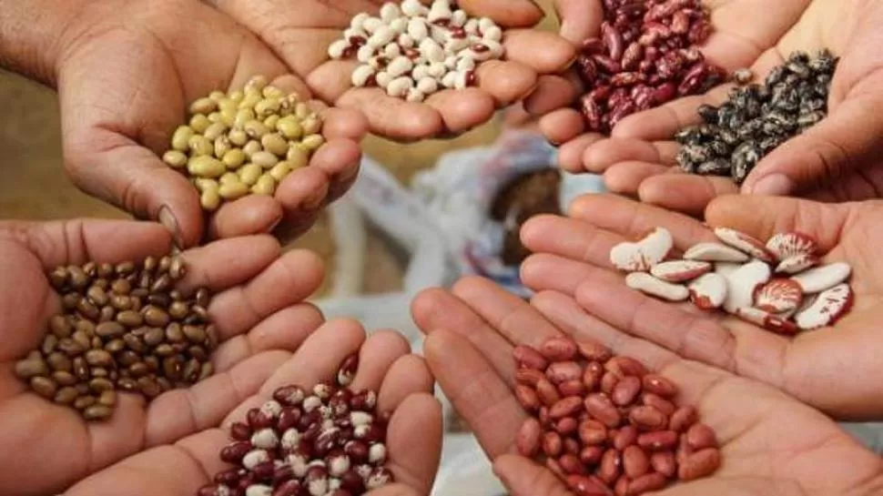 VIRTUAL. De la primera jornada anual de Clera participaron 1.500 personas.  