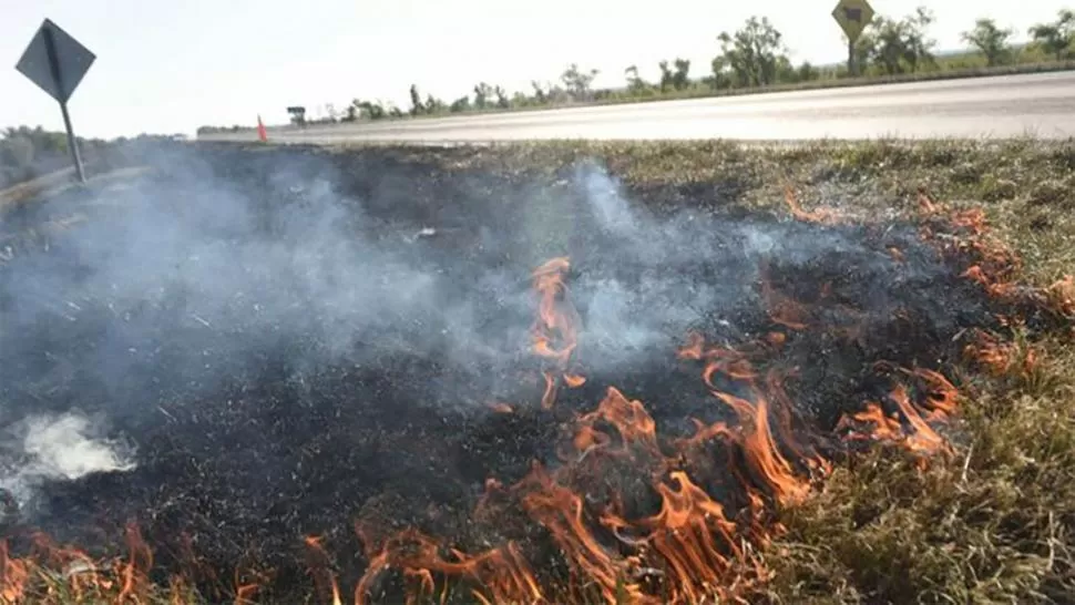 INVESTIGACIÓN. Según un estudio de una universidad de Canadá, el impacto de la covid-19 (contagios y muertes) crece un 10% en situaciones de incendios. 
