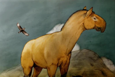 Paleontología: hallaron nuevos “parientes” del caballo