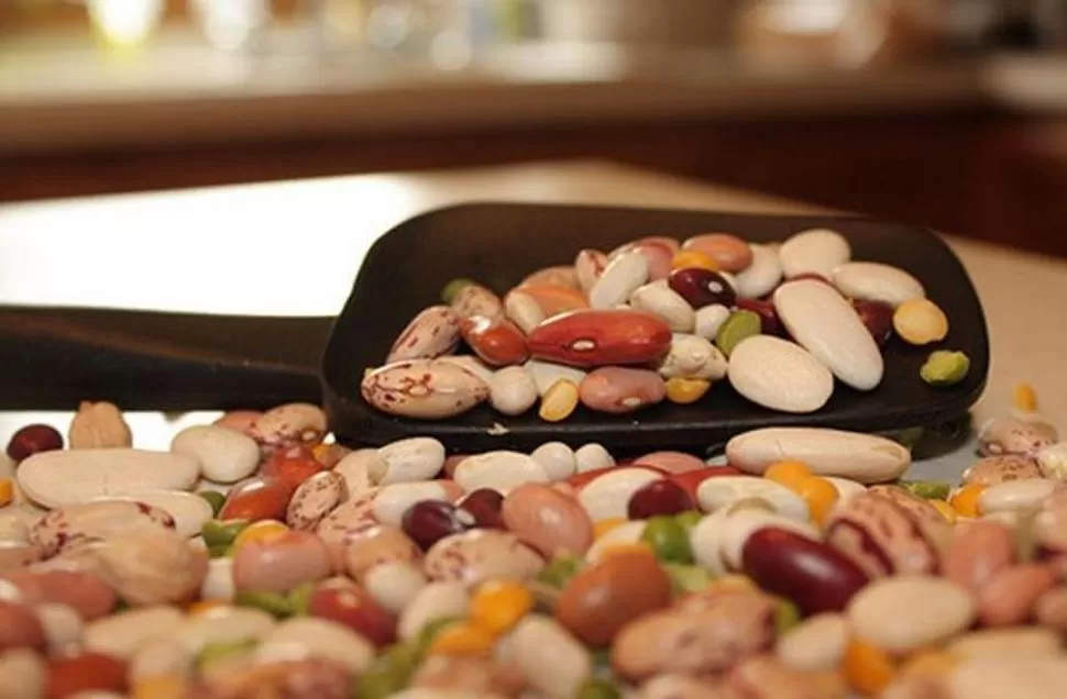 BAJO CONSUMO. A pesar de lo nutritivas que son, en la Argentina sólo se comen 700 g por año por persona. 