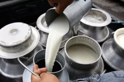 La producción de leche será este año la más baja de la década, según informe privado
