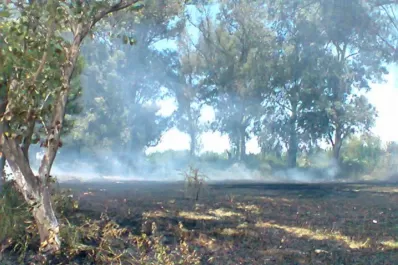 El diputado Cisneros promueve en el Congreso la protección del medio ambiente