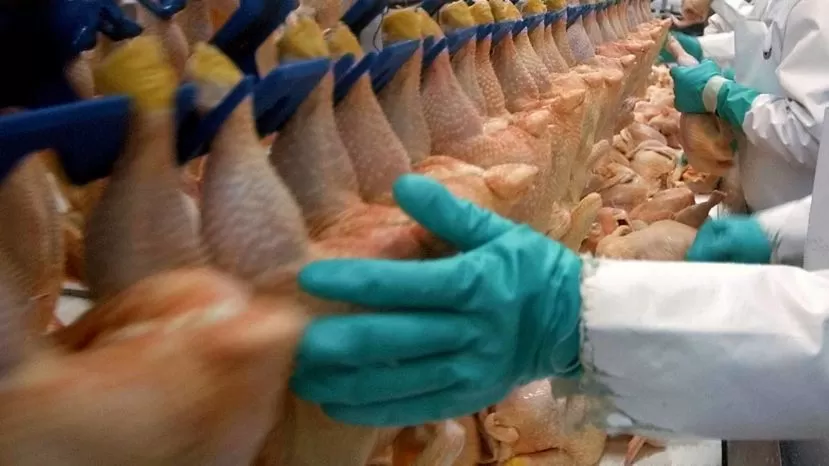 IMAGEN TOMADA DE ELCRONISTA.COM