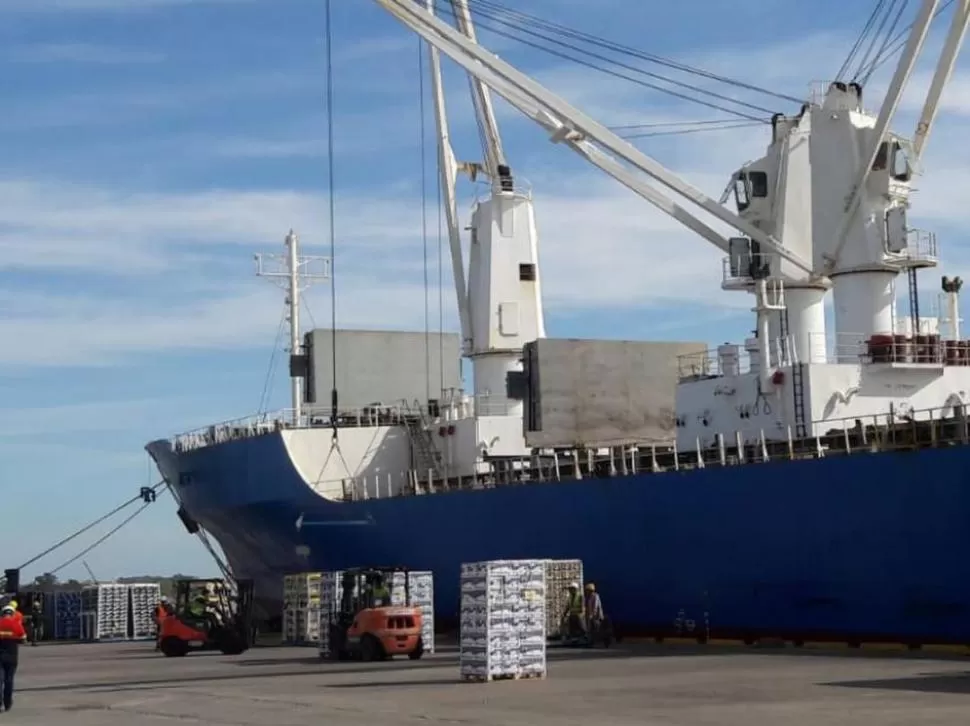 LAS PRIMERAS. Hace una semana llegaron a Guangzhou 48 toneladas de limón tucumano de Citromax y San Miguel.  