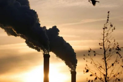 Medio ambiente: buscan que Argentina sea carbono neutral en 2050