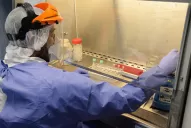 Casi el 8% de los tucumanos testeados dio positivo para coronavirus