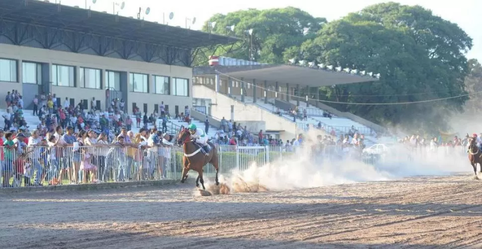 UNA APLANADORA. El potrillo Sarfo debutó ganando por varios cuerpos una carrera de 700 metros y en tiempo récord, receta que repitió en su segunda presentación. la gaceta / foto de héctor peralta  