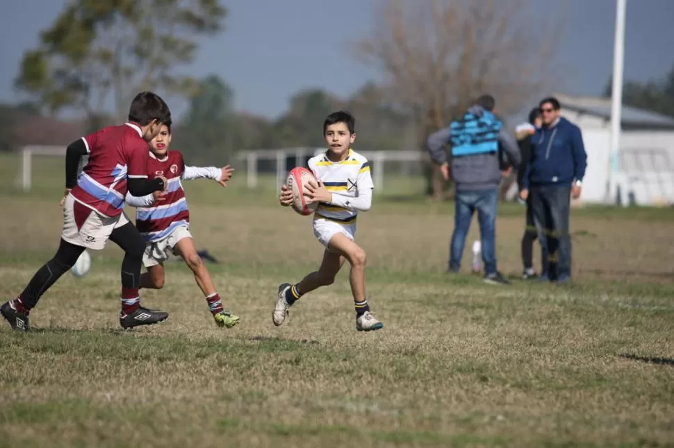 FUNDAMENTAL. El rugby infantil es una etapa decisiva. Los niños y niñas aprenden las destrezas básicas y normas de convivencia siguiendo a sus entrenadores. la gaceta / foto de juan pablo sánchez noli