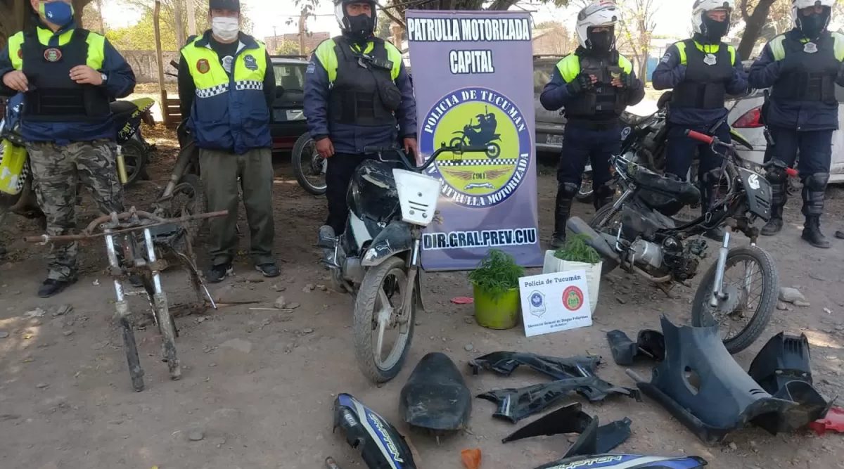 HALLAZGO. Las plantas de marihuana y las motopartes secuestradas por la Policía.