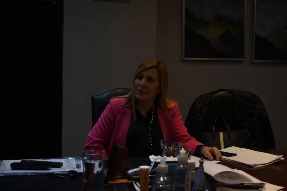 DEFINICIÓN. Una reforma aprobada sin consenso no tiene legitimidad, sostuvo la parlamentaria. la gaceta / foto de alvaro aurane