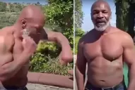 Tyson también volverá a subirse al ring