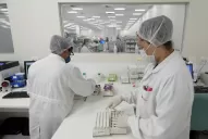 Esta mañana se registraron 36 muertes más por coronavirus en Argentina