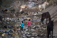 En imágenes: los canales Norte y Sur tienen de todo, menos agua