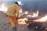 Cuáles son las zonas más afectadas en Tucumán por la quema de cañaverales y pastizales